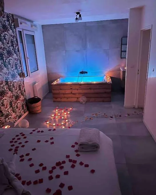 Appartement Avec Jaccuzzi 15 Min Du Centre De Lyon Villeurbanne Francia
