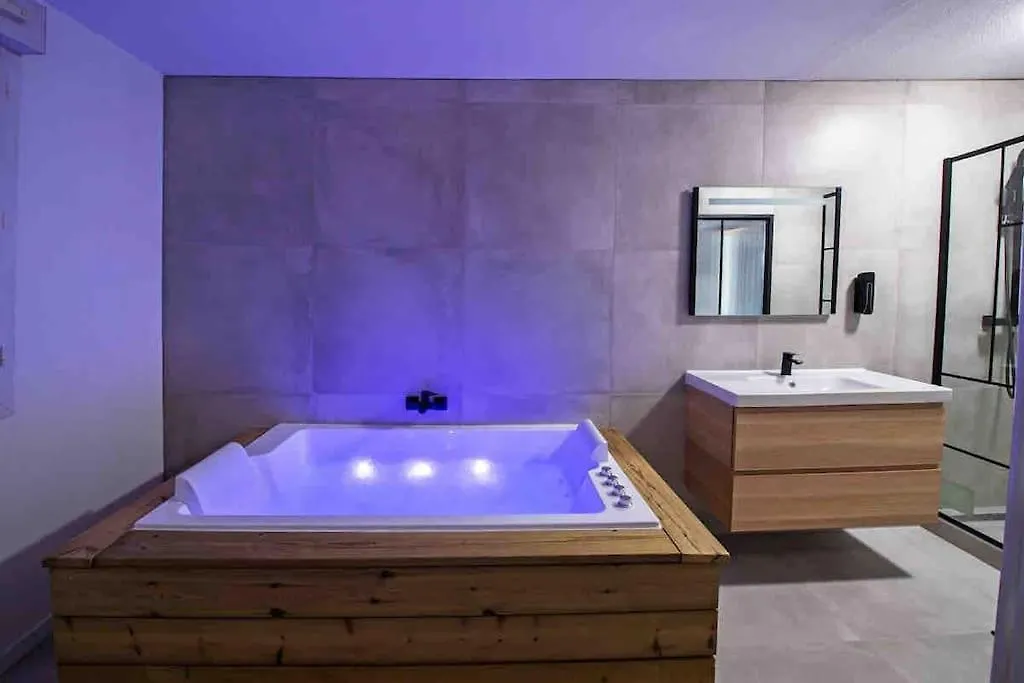 Appartement Avec Jaccuzzi 15 Min Du Centre De Lyon Villeurbanne