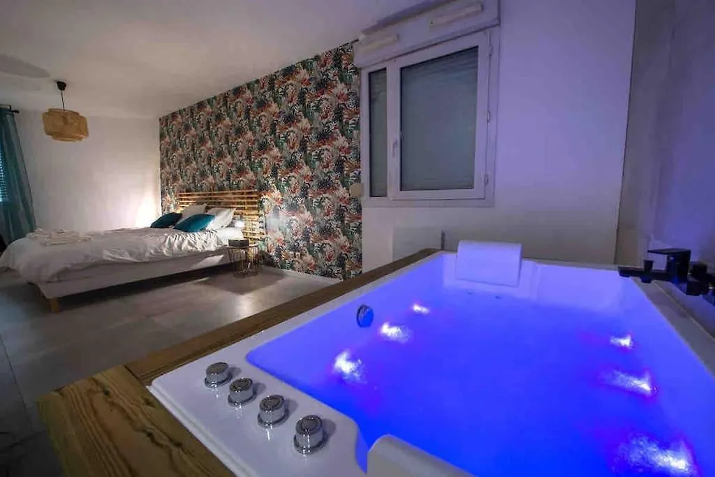 Appartement Avec Jaccuzzi 15 Min Du Centre De Lyon Villeurbanne