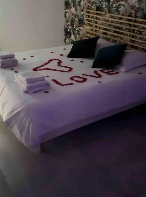 Appartement Avec Jaccuzzi 15 Min Du Centre De Lyon Villeurbanne Apartment